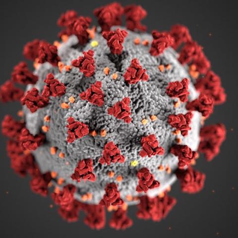 Coronavirus