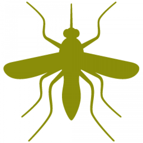 mosquito icon