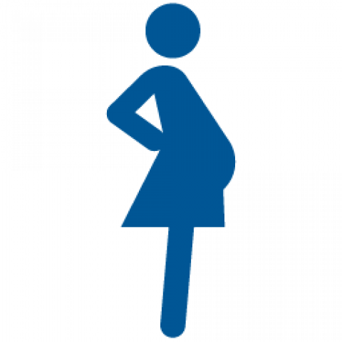 pregnant woman icon