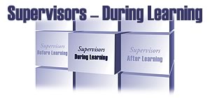 Supervisors - During Learning